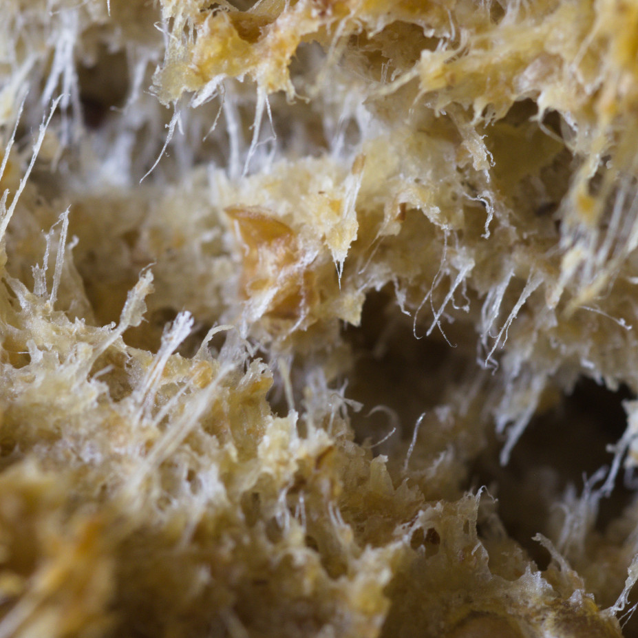 Bread Crust close-up